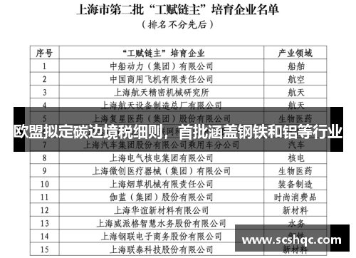 欧盟拟定碳边境税细则，首批涵盖钢铁和铝等行业